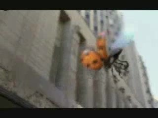 Un amour de coccinelle