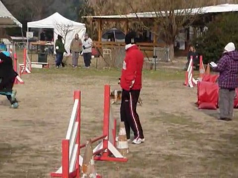 Eiu - 1e degre Martigues 11-02-2012