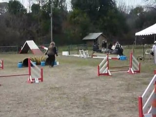 Eiu (conduit par Karin) - Jumping Martigues 11-02-2012