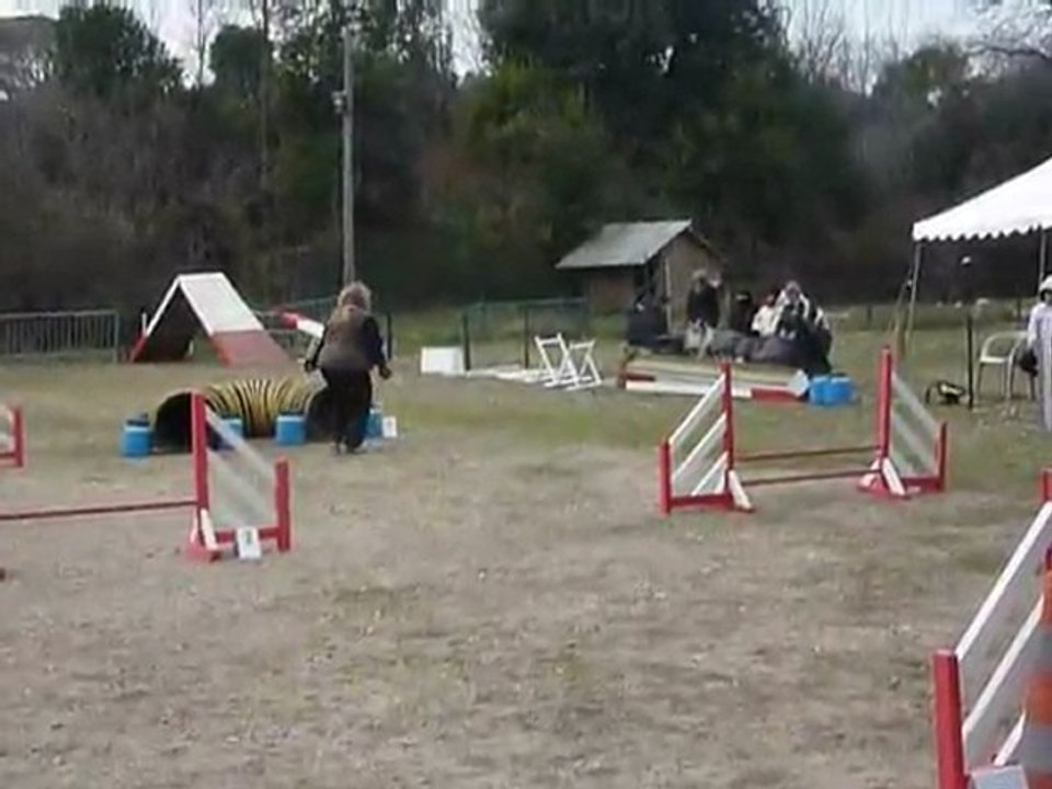 Eiu (conduit par Karin) - Jumping Martigues 11-02-2012