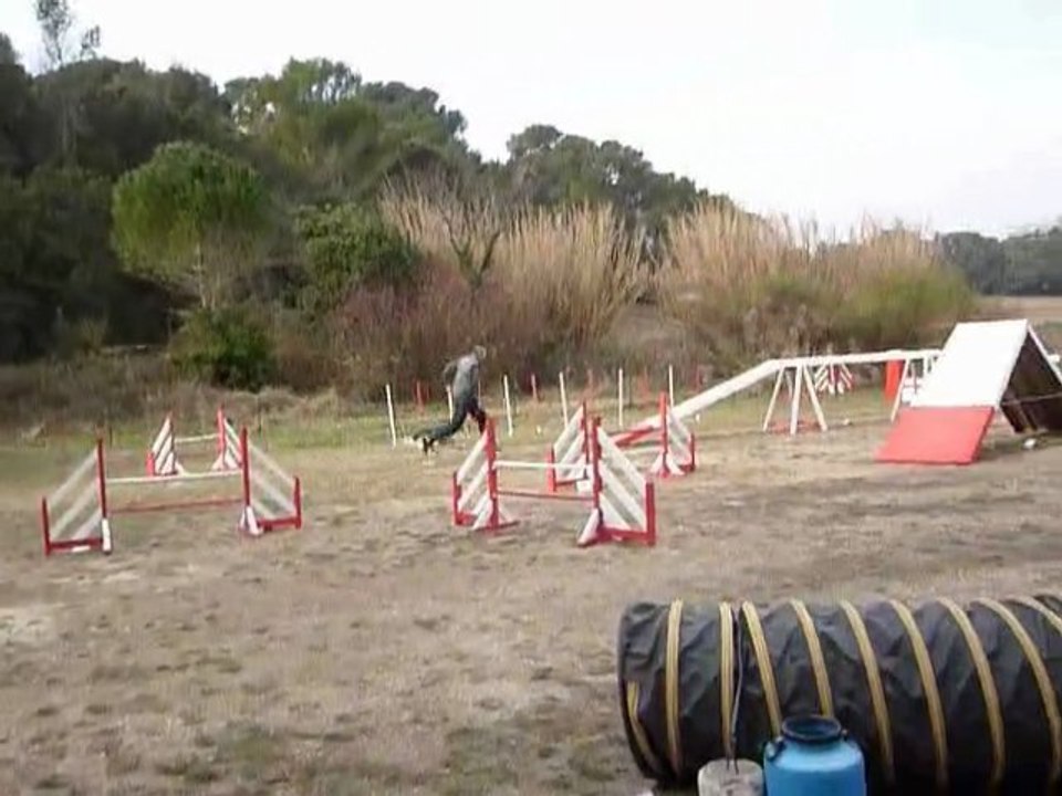 Brownie - GPF Martigues 11-02-2012