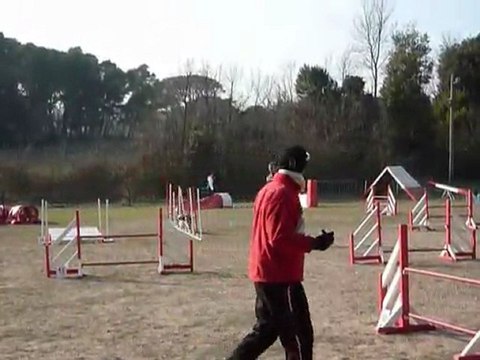 Brownie - Jumping Martigues 11-02-2012