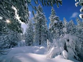 muhteşem kar manzaraları