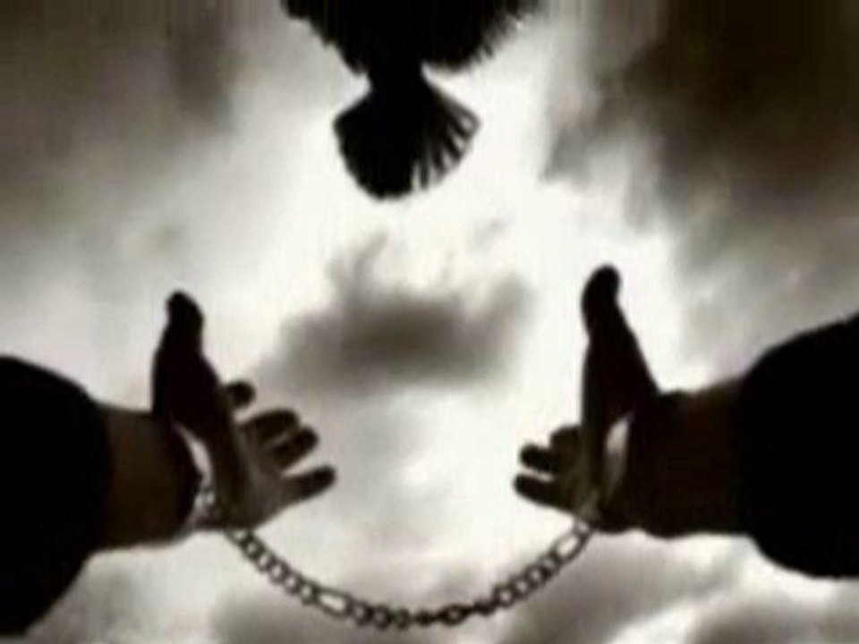 Fevzi Kurtulus - Gelir Özgürlük Ile