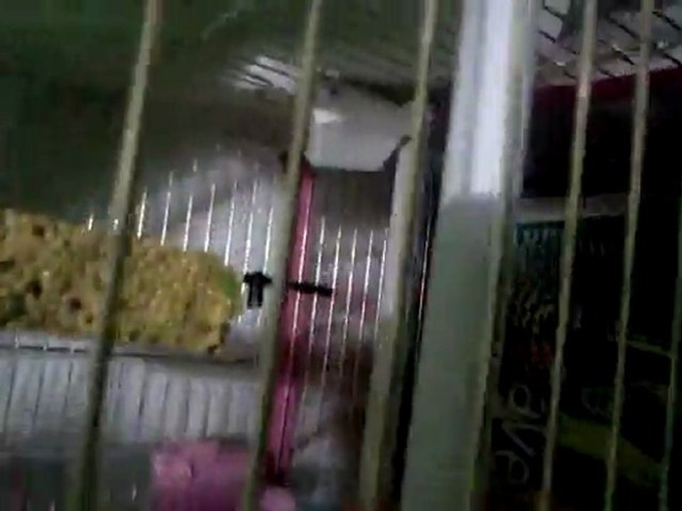 MOV058 (1)