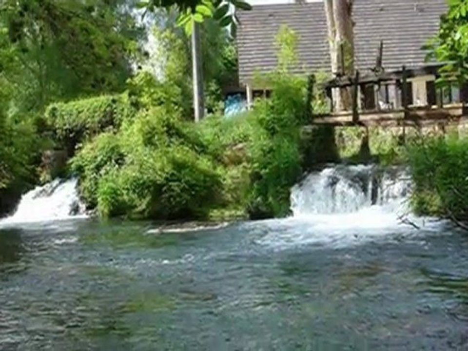 Stream Dream Forum _ Saison 2011-2012