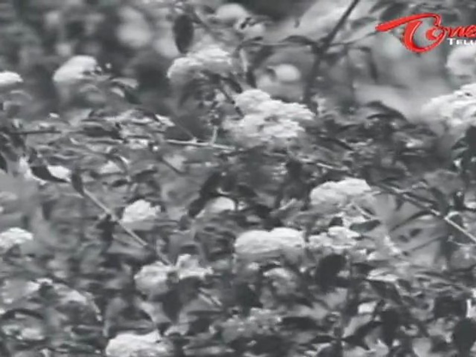 Mangalya Balam Songs - Teliyani Aanandam - ANR - Savithri