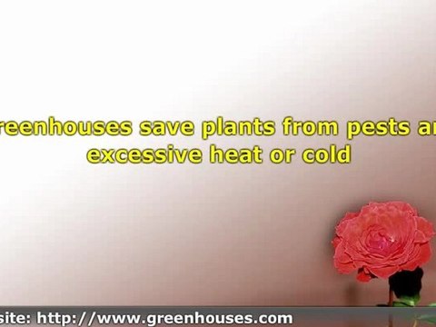 Greenhouse Kits