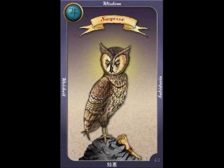 Oracle Tarot d'Eltynne
