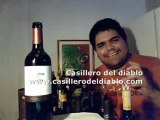 Viña Concha y Toro Carmenere Casillero del diablo 2010