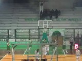 Prasina Nea: Panathinaikos - DASAL