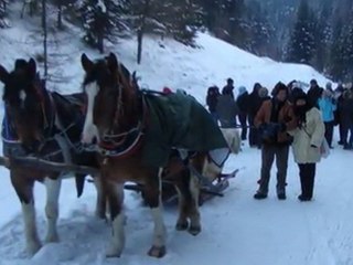Hej z góry,zgóry-Kosarzyska 10.02.2012 (ela544)