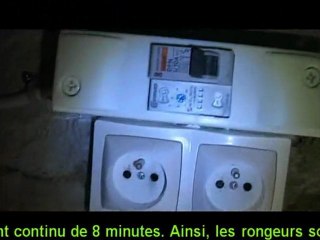 Système répulsif à ultrasons sur les installations photovoltaïques OPALE de Sycomoreen