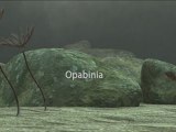 Opabinia 542-488 Mio years BC