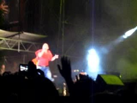 Diams - jeune demoiselle 2