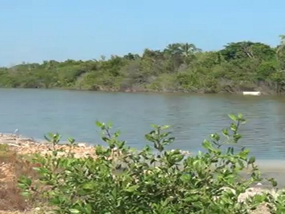 Gull pond of west end Anguilla video 1