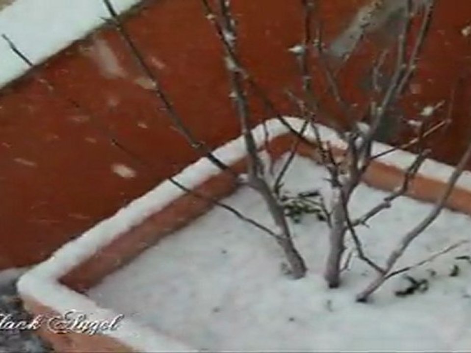 neige 12 fevrier 2012 A