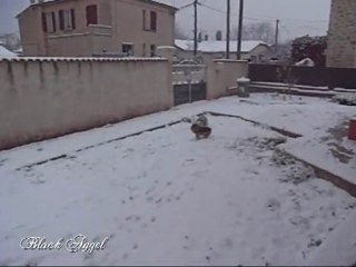 neige 12 fevrier 2012 C