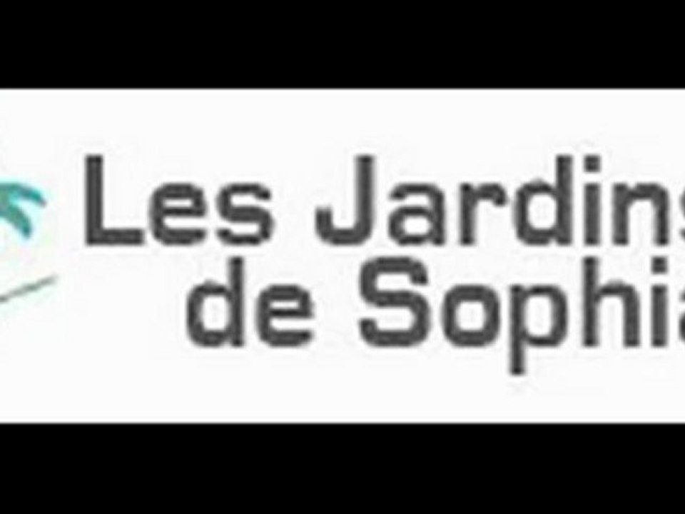 Canne Défense Thérapeutique Levinet