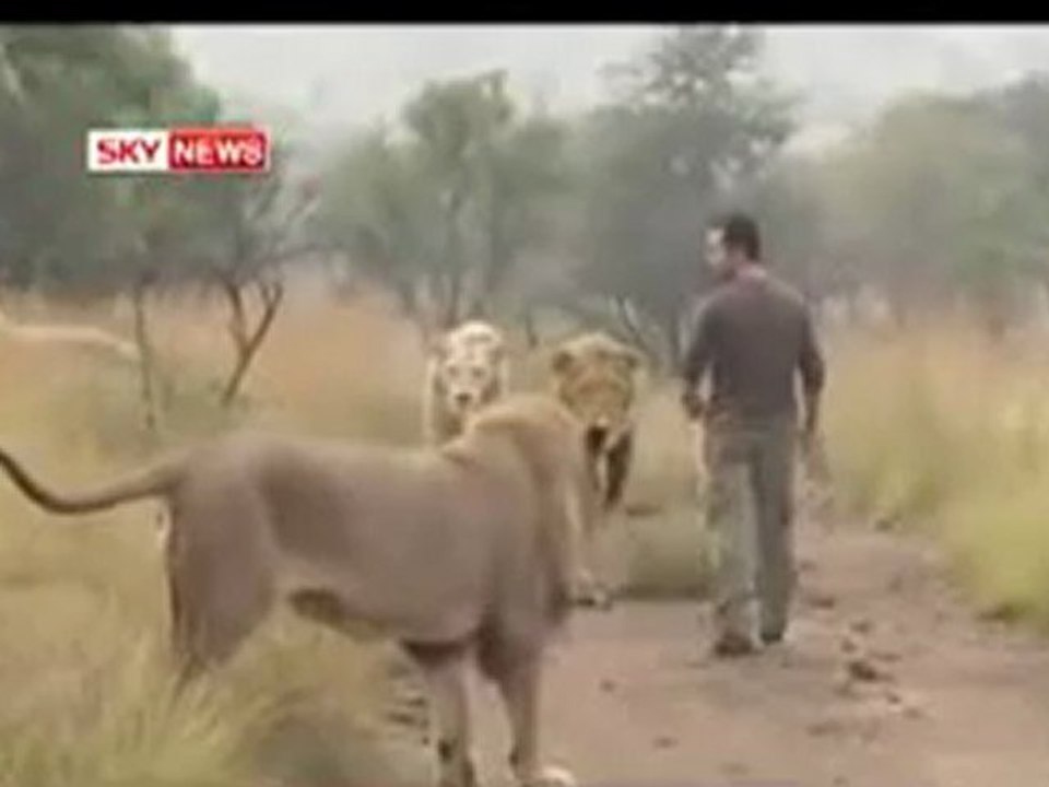 L'homme qui parlait aux lions