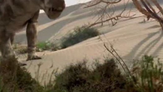 Die Ahnen Der Saurier