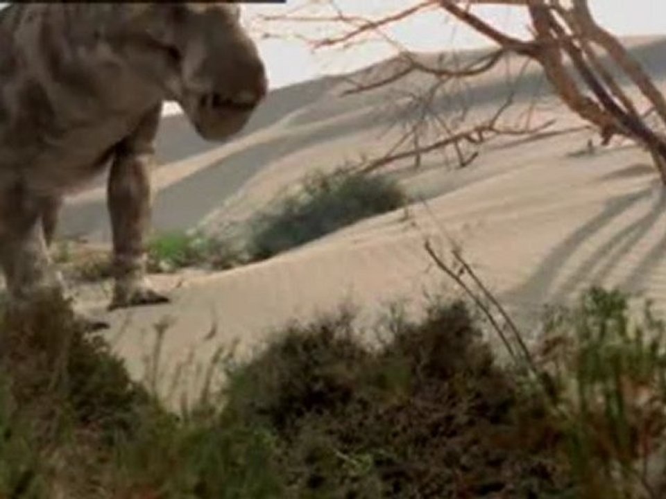 Die Ahnen der Saurier -2- vor 280 Millionen Jahren - Perm