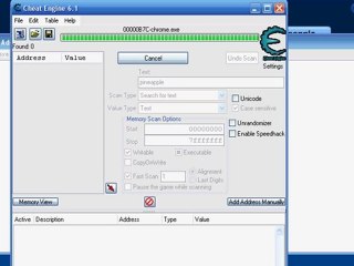 Wild Ones Kiwi Hilesi