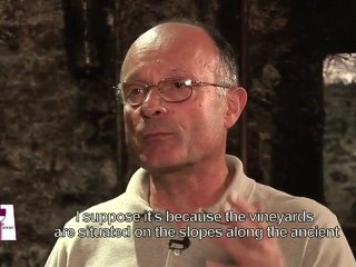 Episode 11/25 : Understanding Burgundy Chablis Grand Crus with Bernard Raveneau