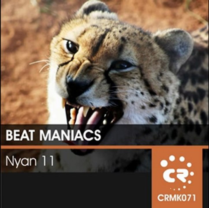 Beat Maniacs - Nyan 11 (Preview)