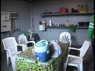 Giugliano (NA) - Vigneto abusivo su terreno confiscato (11.02.12)