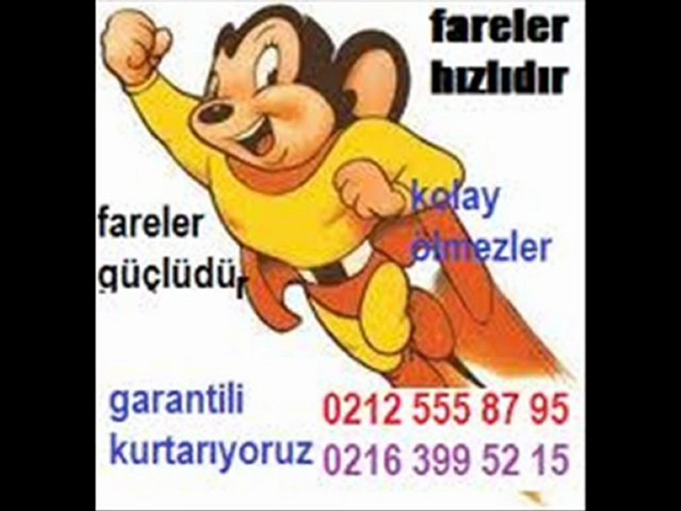 Dağıtım