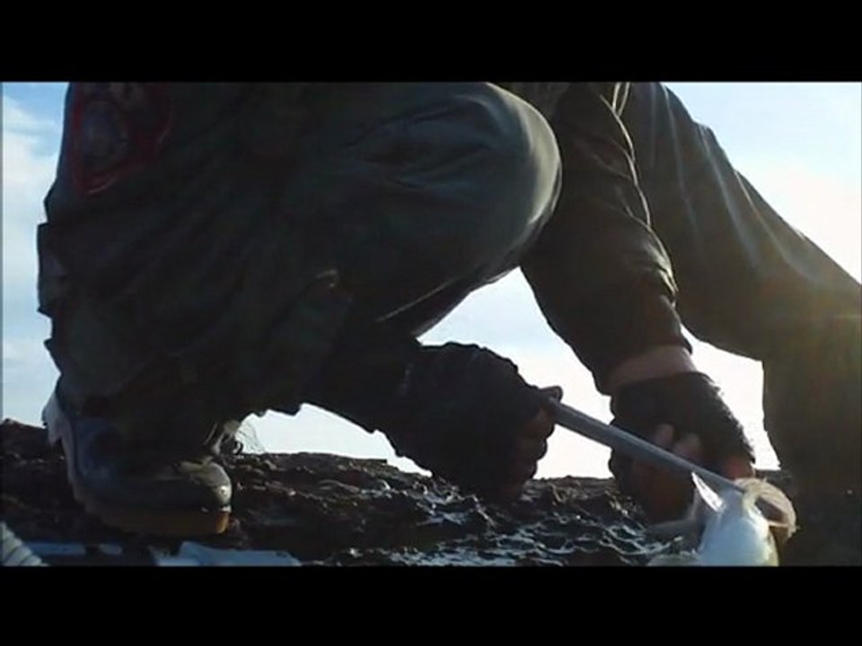 levrek avı T.D SALT PENCIL DORADO TUNE F