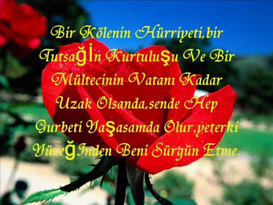 Yusuf Hayaloğlu-Beni Düşün Unutma