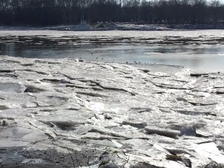 Basse Indre la Loire et la Glace