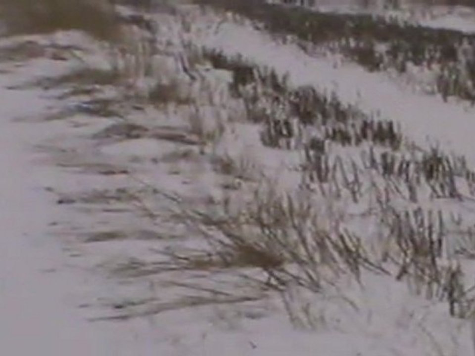 M2U00848