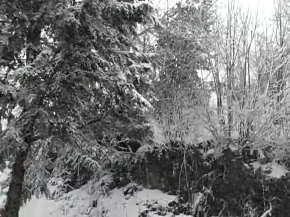 nevica davvero