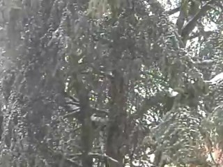 bufera di neve Modena