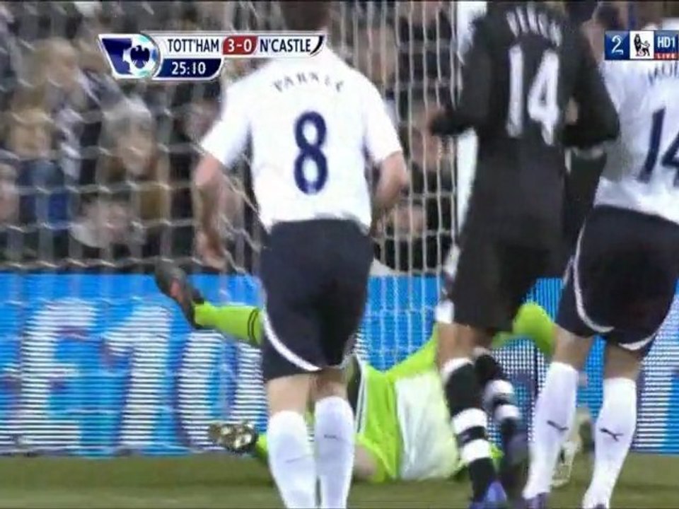 Badgers annihilate magpies