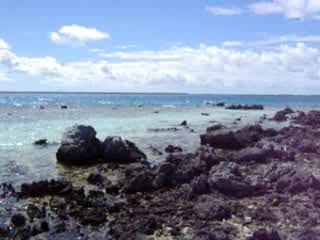 vue depuis l'ile aux oiseaux à tikehau