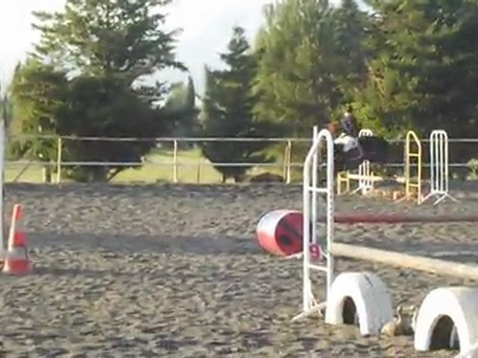 CSO St georges - Diego et moi