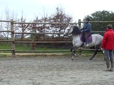 Neptuno galop main gauche