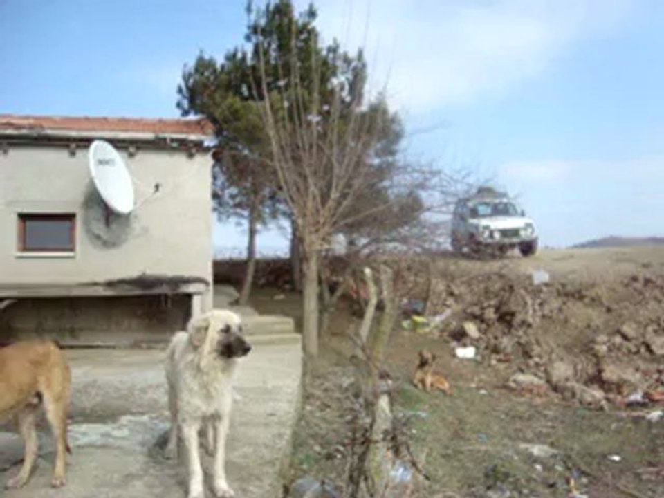 ŞABAN AÇLIKTAN SHOW YAPIYOR 11 ŞUBAT 2012