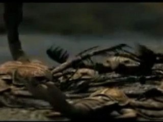 Vor 450 Millionen Jahren, Riesen-Endoceraten, Kopffüßer, Seeskorpione 2