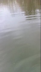 26 Janv 2012 2ème vidéo