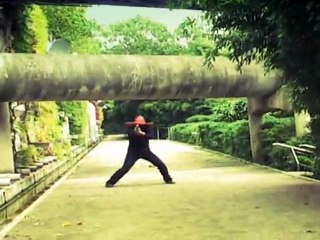 Sid Marcus et le singe attaquent les ninjas mexicains