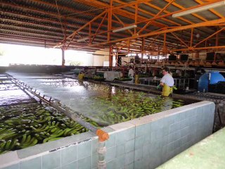 Online Marketers Cruise 2012