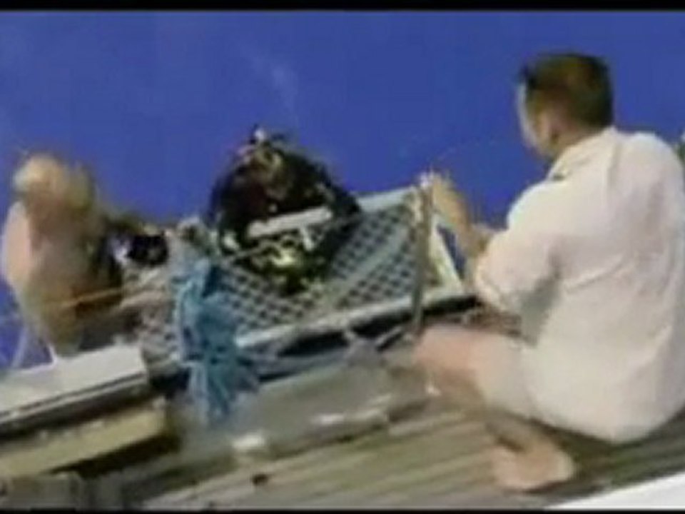 Vor 360 Mio. Jahren - Dunkleosteus - Monster der Tiefe - Teil 3 von 9