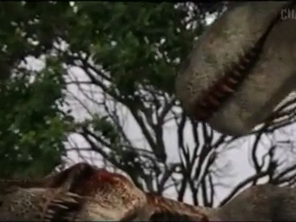 vor 300 Mio Jahren, spätes Karbon - Riesen Insekten _Teil 1 von 4