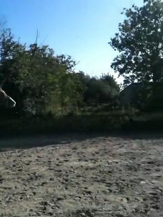 Ramsès du Loup