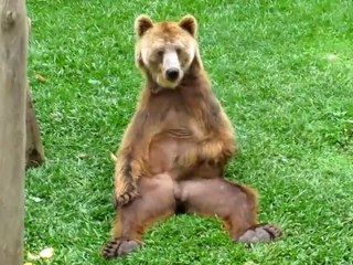 Le Zap de Spi0n.com n°103 - (12/02/2012)